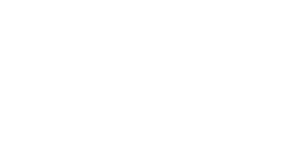 xZee Logo